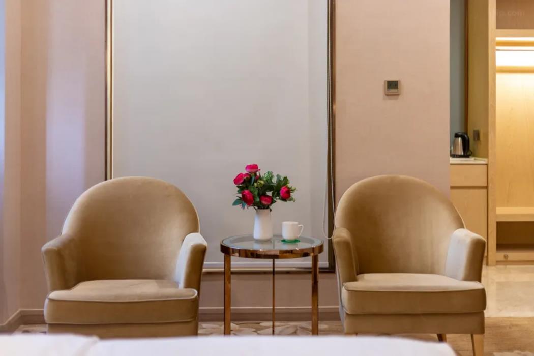 venus international hotel