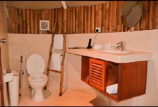 oak tree glamping resort