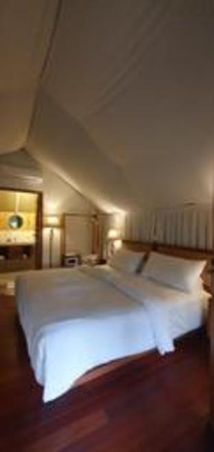 oak tree glamping resort