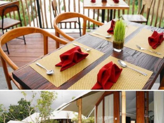 oak tree glamping resort