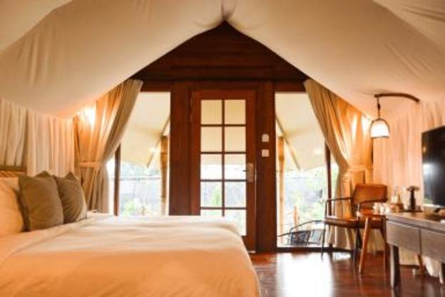 oak tree glamping resort
