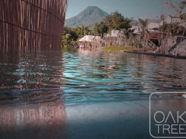 oak tree glamping resort