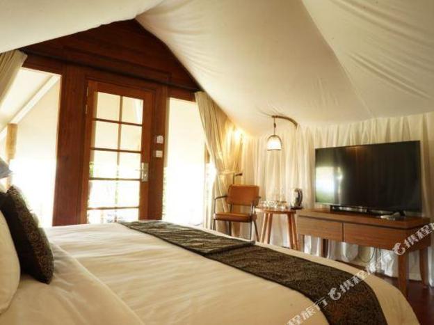 oak tree glamping resort