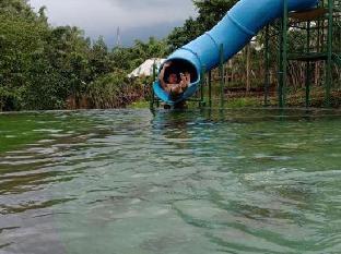 oak tree glamping resort