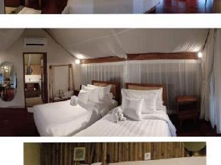 oak tree glamping resort