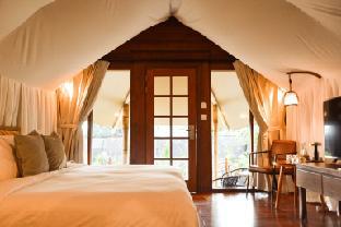 oak tree glamping resort