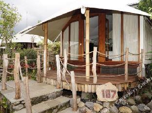 oak tree glamping resort