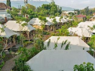 oak tree glamping resort