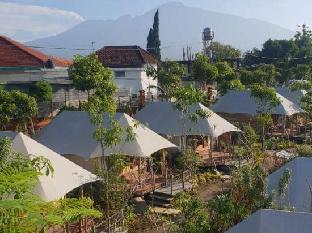 oak tree glamping resort