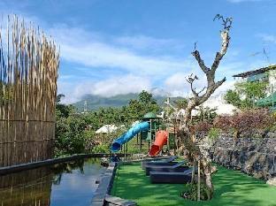 oak tree glamping resort