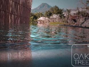 oak tree glamping resort