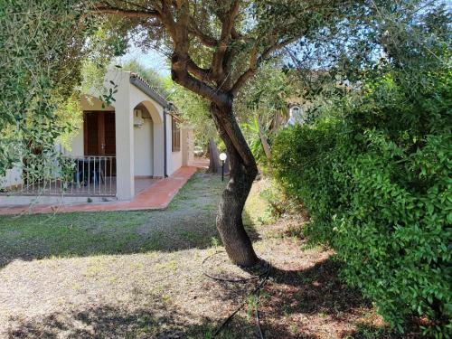 la casa di spinosella agriturismo
