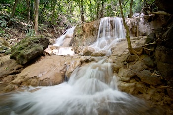 home phu toey