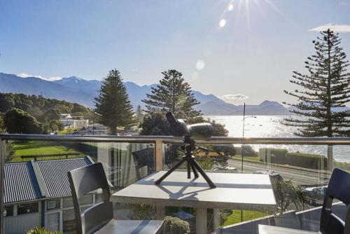 seafront apartment at kaikoura holiday homes