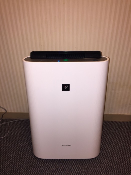 hotel global view niigata