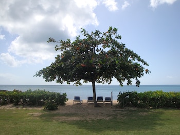 hawksbill by rex resorts all inclusive