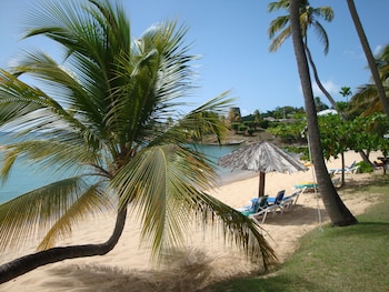 hawksbill by rex resorts all inclusive