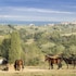 castellare di tonda resort and spa