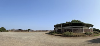 montaione
