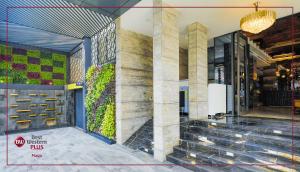 best western plus maya