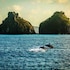 fernando de noronha