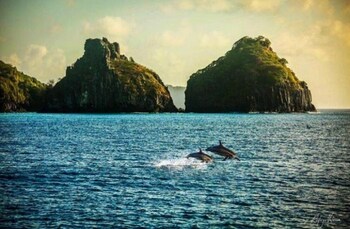 fernando de noronha