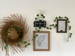 stylish apartments in belize city