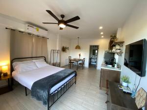stylish apartments in belize city