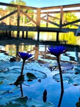 pousada village dos canyons