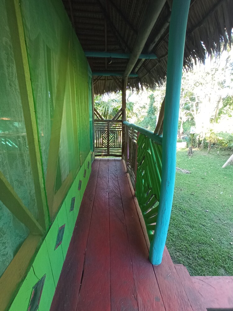 hostal buho amazonas tours