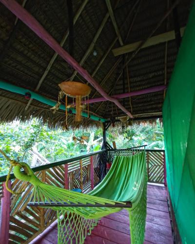 hostal buho amazonas tours