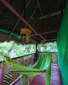 hostal buho amazonas tours