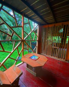 hostal buho amazonas tours