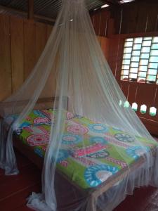 hostal buho amazonas tours