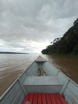 leticia