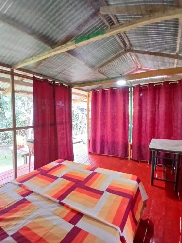 hostal buho amazonas tours