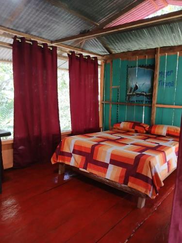 hostal buho amazonas tours