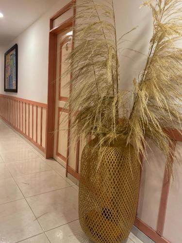 mahalo hostel boutique