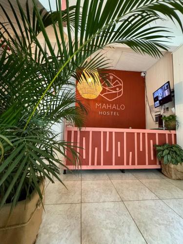 mahalo hostel boutique