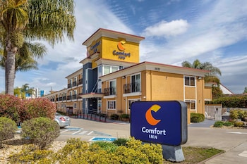 comfort inn castro valley