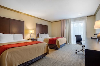 comfort inn castro valley