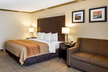 comfort inn castro valley
