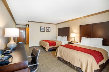 comfort inn castro valley