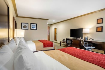 comfort inn castro valley