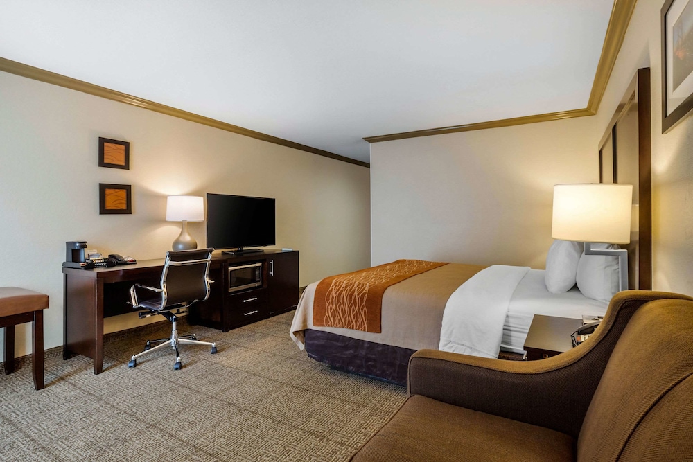 comfort inn castro valley