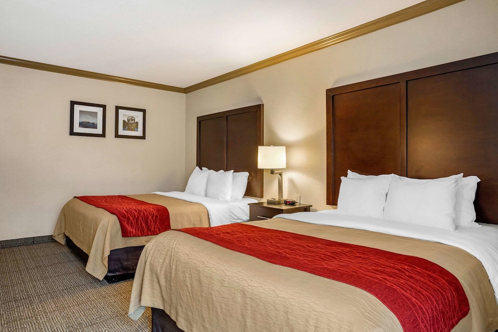 comfort inn castro valley