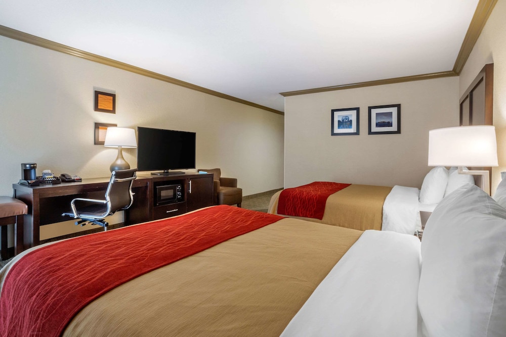 comfort inn castro valley