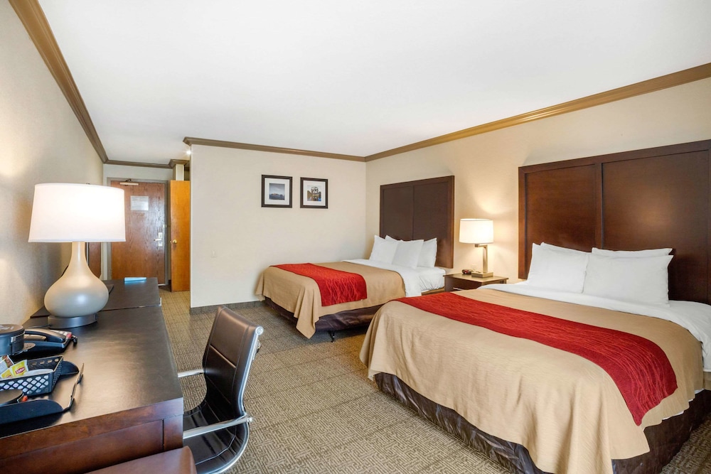 comfort inn castro valley