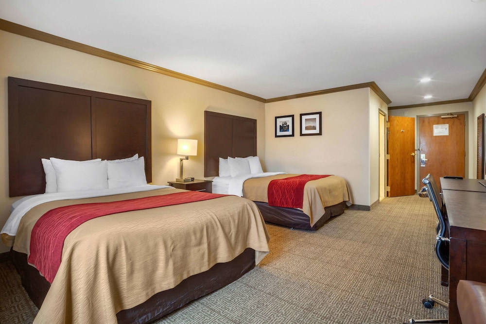 comfort inn castro valley