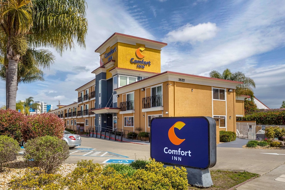 comfort inn castro valley